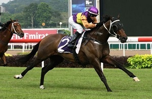 Knight's Command 25.01.15